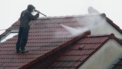 Verständlich, wenn Laien solche Arbeiten nicht übernehmen wollen - doch Vorsicht, wenn Anbieter ihre Dienste spontan an der Tür anpreisen. (Foto: Frank Kleefeldt/dpa/dpa-tmn)