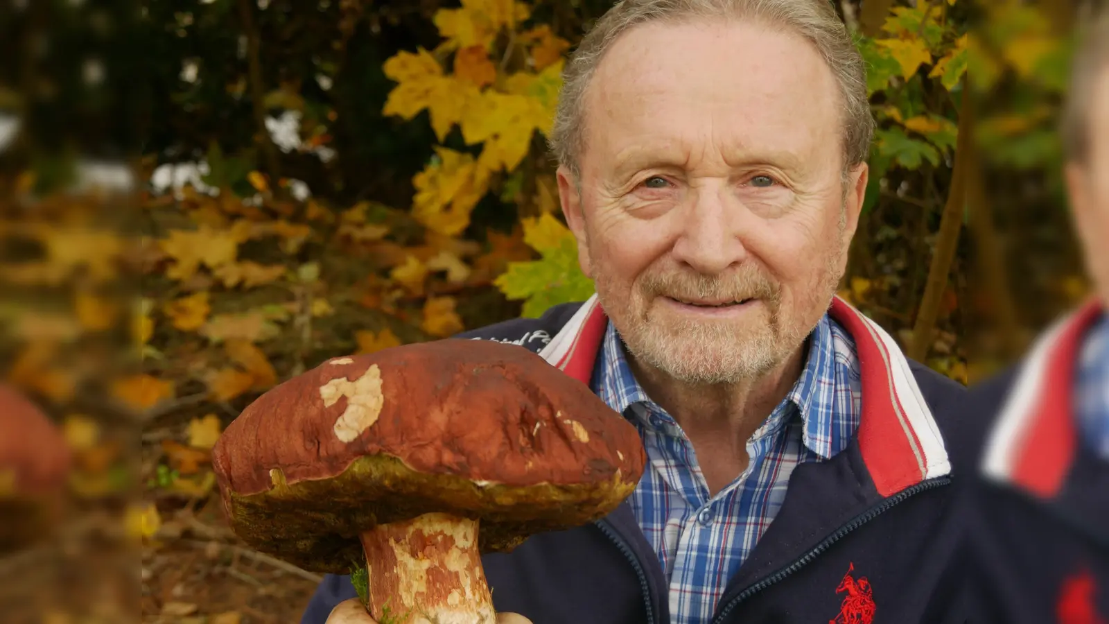 Fast ein Kilo brachte dieser Steinpilz nach der Ernte auf die Waage. So etwas ist Hermann Klein in mindestens 60 Jahren In-die-Pfiffer-Gehen noch nicht untergekommen. (Foto: Ulli Ganter)