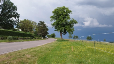 Direkt am Ortseingang von Neuses ist ein Baugebiet mit fünf Plätzen geplant. Der Stadtrat hat den Plänen zugestimmt. (Foto: Robert Maurer)