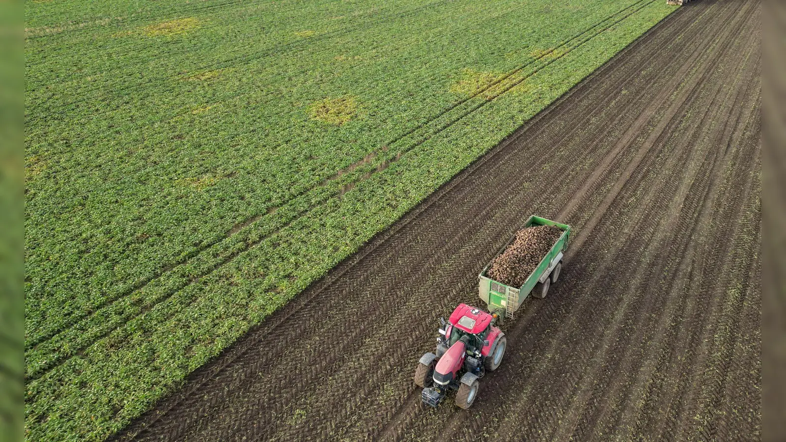 Die Preise für viele Agrarprodukte sind derzeit unter Druck. (Archivbild)  (Foto: Jan Woitas/dpa)
