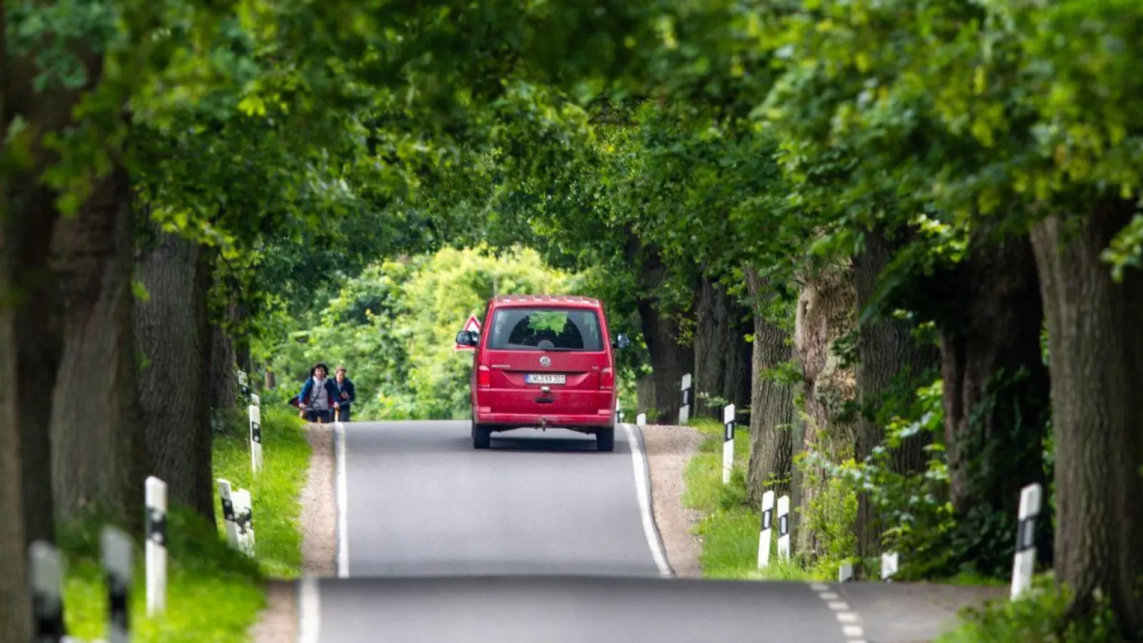 Sonnenschein und Regenschauer: Ein Auto fährt durch eine Allee im Biosphärenreservat Schaalsee. Das Wetter in Norddeutschland bleibt in den nächsten Tagen wechselhaft. (Foto: Jens Büttner/dpa)