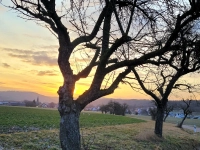 Der Tag verabschiedet sich leuchtend - gesehen bei Lohr (Foto: Heinz Schopf)