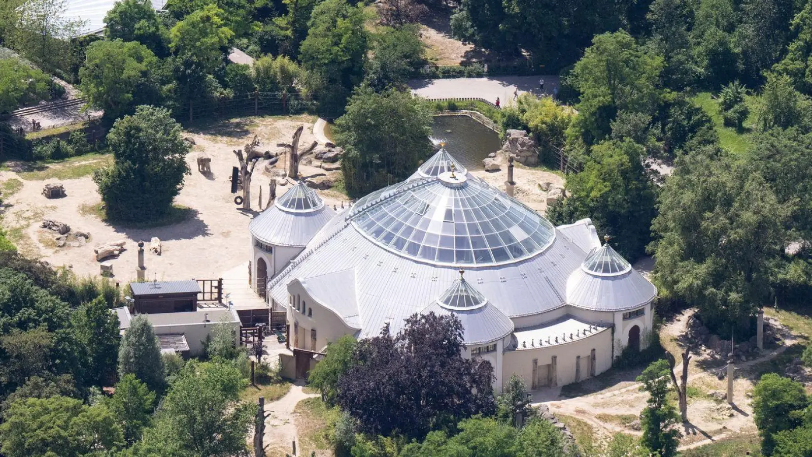 Eine Tierärztin hat die tote Giraffe im Tierpark Hellabrunn untersucht. (Archivbild) (Foto: Sven Hoppe/dpa)
