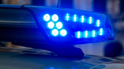 Wegen einer Notlandung eines Kleinflugzeuges sind Polizei, Rettungsdienst und Feuerwehr im Einsatz. (Symbolbild) (Foto: Klaus-Dietmar Gabbert/dpa-Zentralbild/dpa)