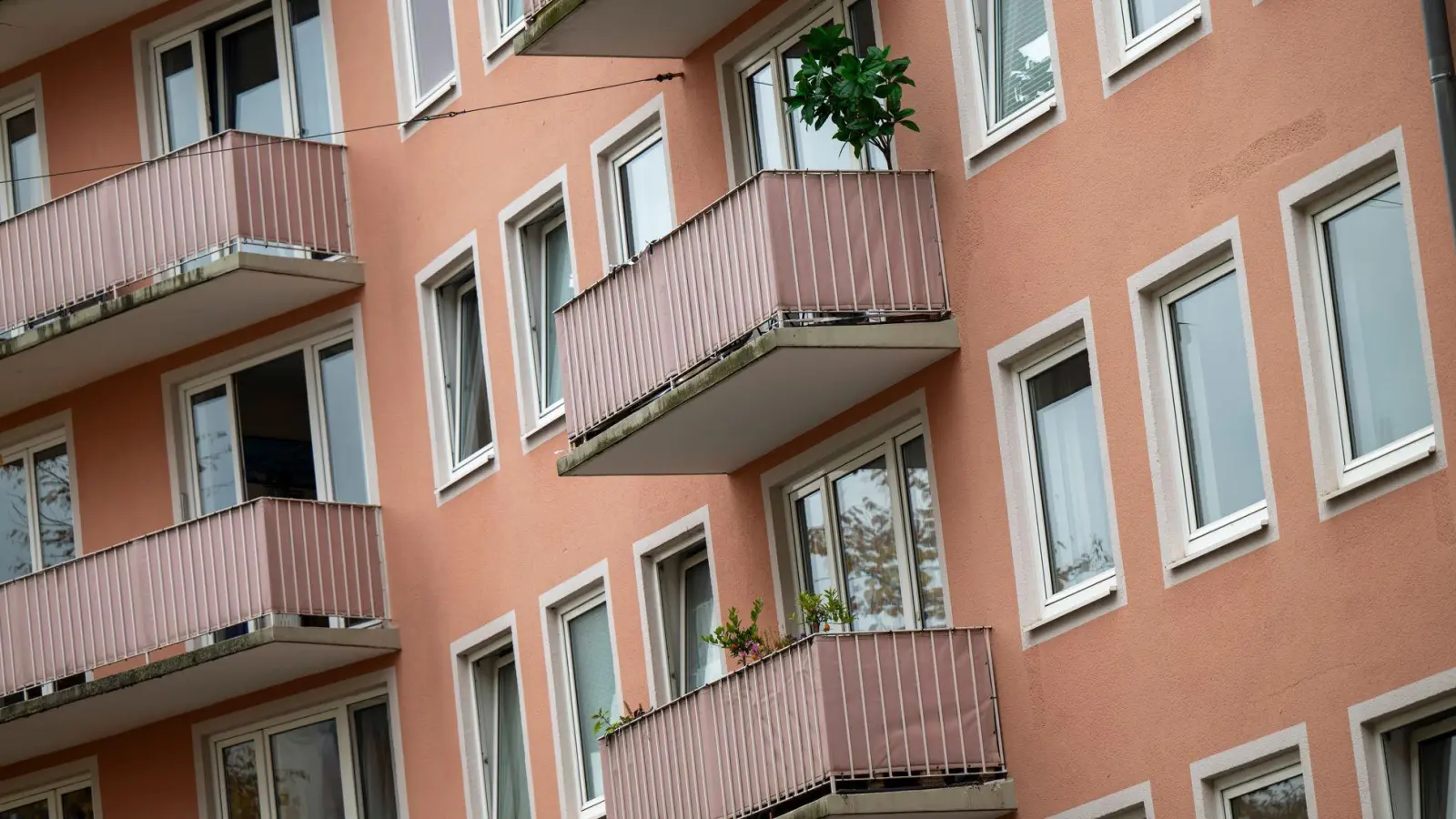 Welche Sprachen werden in den Haushalten in Deutschland gesprochen? (Symbolbild) (Foto: Peter Kneffel/dpa)