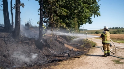 Als die Einsatzkräfte eintrafen, standen rund 60 Quadratmeter Fläche in Flammen. Sie konnten das Feuer schnell unter Kontrolle bringen. (Foto:  NEWS5 / Lars Haubner)