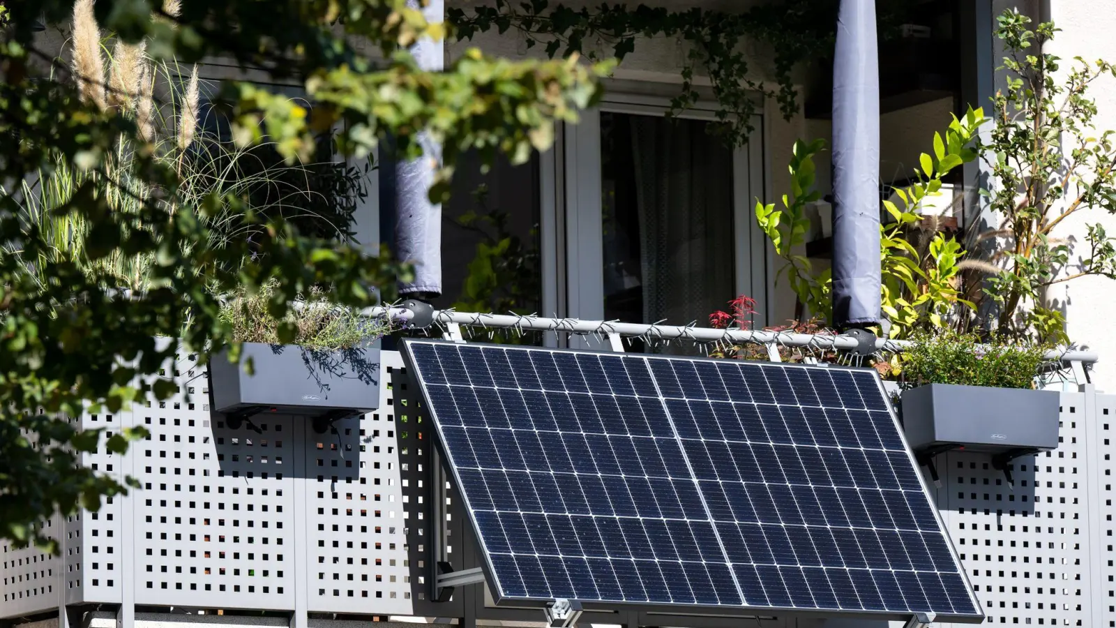 Der Sonnenstromverband BSW Solar erwartet in diesem Jahr weiteres rasantes Wachstum bei kleinen Balkonsolaranlagen. (Foto: Illustration)  (Foto: Sven Hoppe/dpa)