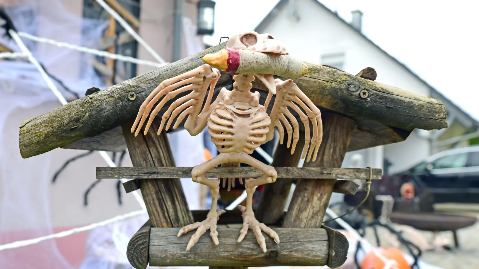 Kleine Details und große Aufreger gibt es im Garten und an der Fassade von Christa und Steve Miller in Höfstetten bei Ansbach zu sehen. Halloween-Grusel vom Feinsten. (Foto: Irmeli Pohl)