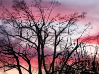 Farbenspiel - gesehen in Ottenhofen (Foto: Anita Kuboth)