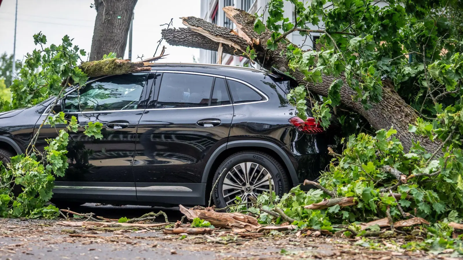 Orkanartige Windböen, wie sie in Berlin am Montag Bäume zum Umsturz brachten, soll es am Dienstag nicht mehr geben. (Foto: Michael Kappeler/dpa)