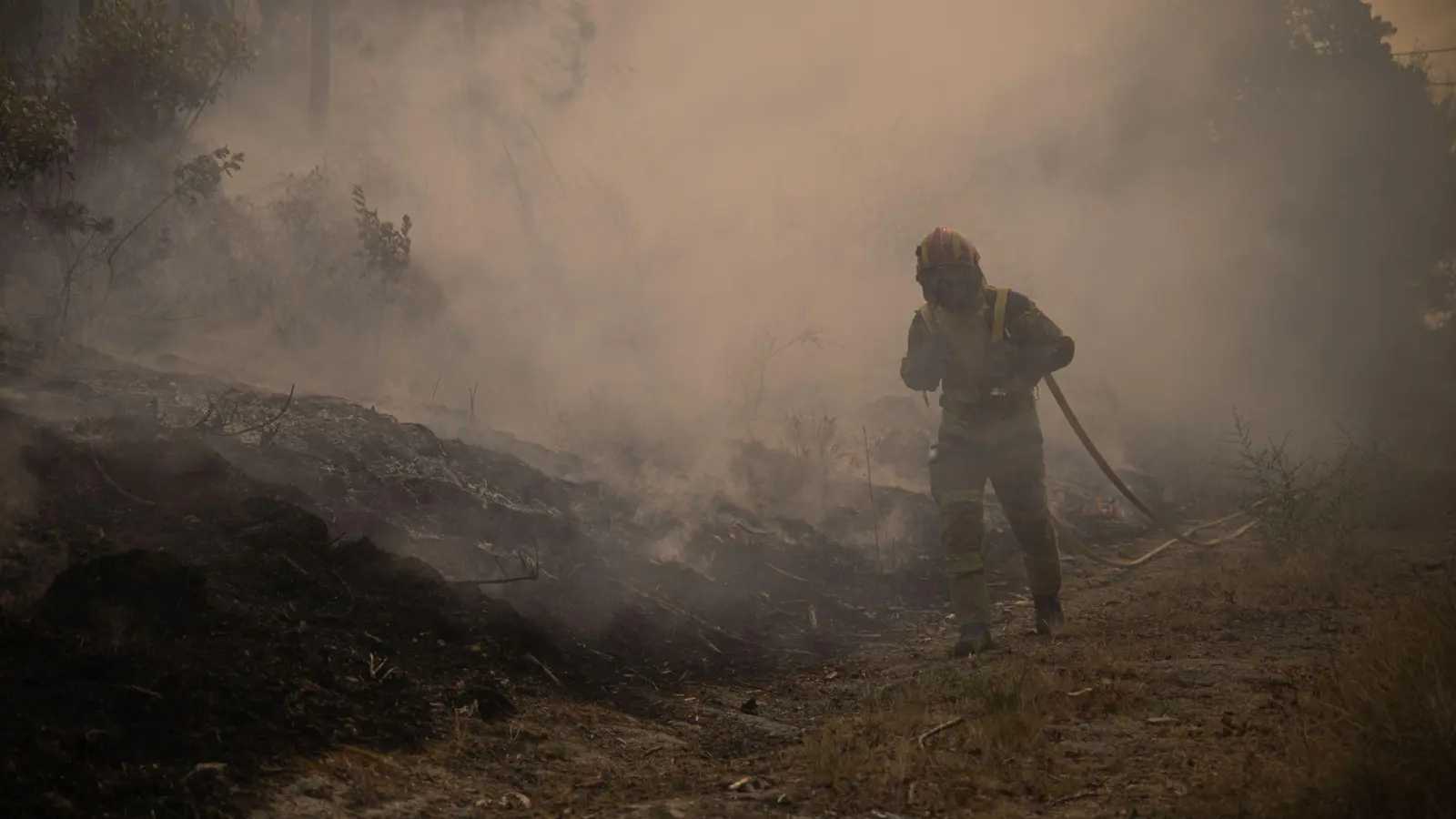 In Portugal wurde eine Fläche so groß wie das Saarland von den Flammen zerstört. (Archivbild) (Foto: Elena Fernandez/ZUMA Press Wire/dpa)