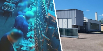 Der Schlachthof in Wassertrüdingen ist weiterhin geschlossen, nachdem eine Tierrechtsgruppe massive Verstöße aufgedeckt hatte. (Foto: Aninova, Albert Schülein)