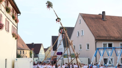 Das Aufstellen des Kirchweihbaumes ist jedes Jahr ein echtes Spektakel. (Foto: Alexander Biernoth)