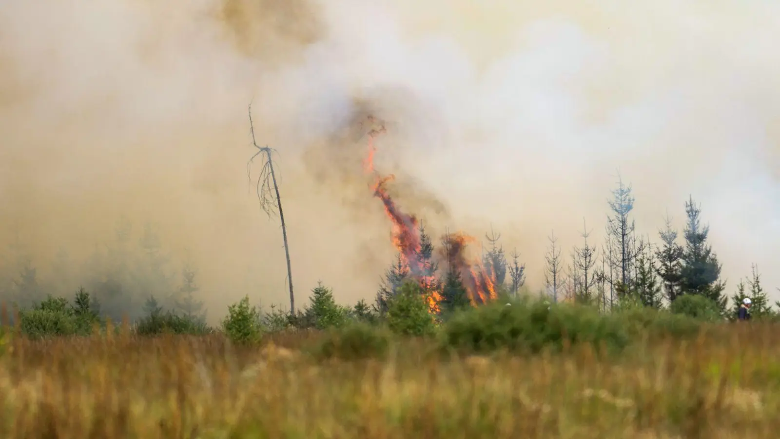 Flammen in der Hochmoor- und Sumpflandschaft Hohe Venn - es liegt unweit der deutschen Grenze. (Foto: Christoph Reichwein/dpa)
