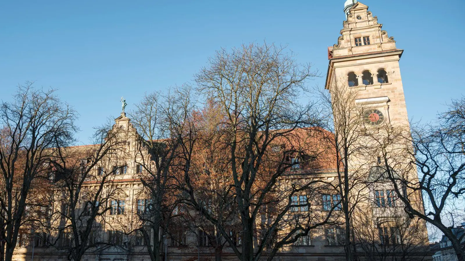 Ein Jäger erschießt grundlos einen Hund und erhält dafür eine Haftstrafe - die Entscheidung des Landgerichts Bamberg hat nun Bestand. (Archivbild) (Foto: Daniel Vogl/dpa)