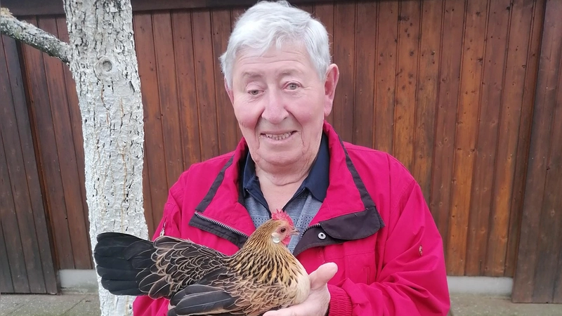 Paul Mösch hält ein Exemplar seiner geliebten Bassetten-Zwerghühner auf dem Arm. (Foto: Friedrich Zinnecker)