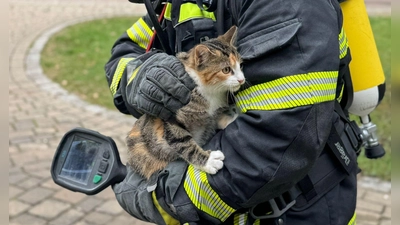Eine Katze konnte bei einem Brand in Ergersheim gerettet werden. (Foto: Feuerwehr Bad Windsheim)