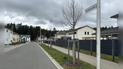 Straßen sind im Feuchtlachfeld gebaut, Bäume gepflanzt und Grundstücke erschlossen: Die dafür anfallenden Kosten werden von der Stadt auf die Grundstücksbesitzer umgelegt. Das kann teuer werden. (Foto: Florian Pöhlmann)