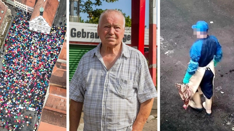 Eine platzfüllende Mahnwache, ein Mann vor den Trümmern seines Lebens und erschreckende Videos aus einem Schlachthof: Das war 2025 in der Region. (Foto: Thomas Hörber, Evi Lemberger, aninova.org)