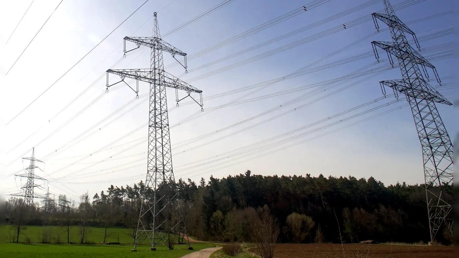 Die Stromleitung zwischen Fernabruenst und Raitersaich: Durch den Wald rechts hinten würde für den Ersatzneubau der Juraleitung eine etwa 120 Meter breite Schneise geschlagen. (Foto: Heinz Wraneschitz)