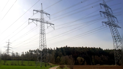 Die Stromleitung zwischen Fernabruenst und Raitersaich: Durch den Wald rechts hinten würde für den Ersatzneubau der Juraleitung eine etwa 120 Meter breite Schneise geschlagen. (Foto: Heinz Wraneschitz)