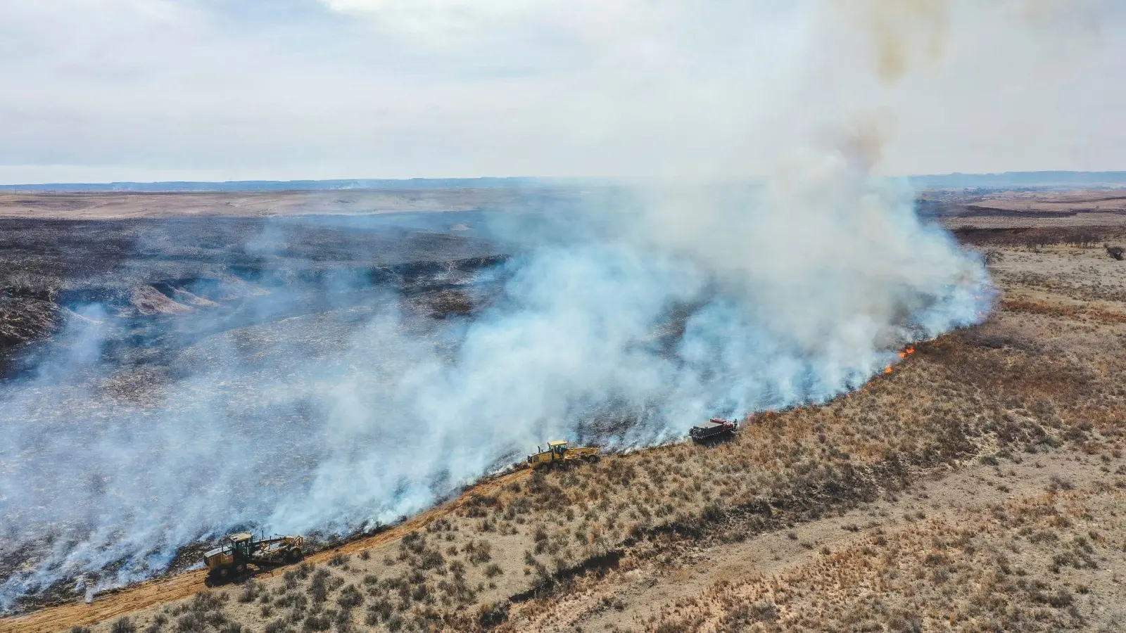 Feuerwehrleute bekämpfen das Smokehouse Creek Fire nördlich von Canadian im US-Bundesstaat Texas. (Foto: David Erickson/AP/dpa)