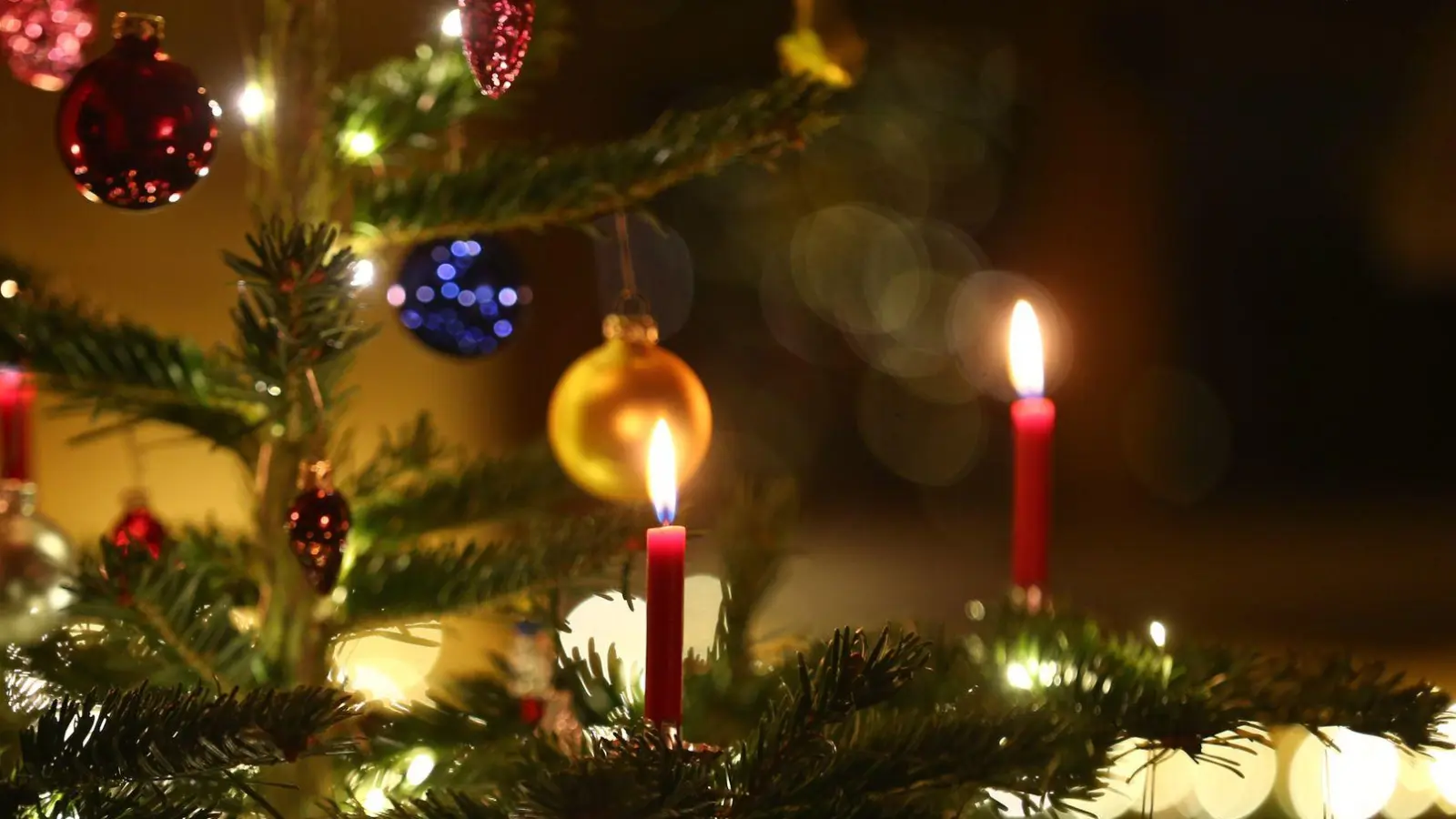 Kerzen brennen in einem Wohnzimmer an einem geschmückten Christbaum: heutzutage oft schon zeitiger im Dezember als früher. (Symbolbild) (Foto: picture alliance / Karl-Josef Hildenbrand/dpa)