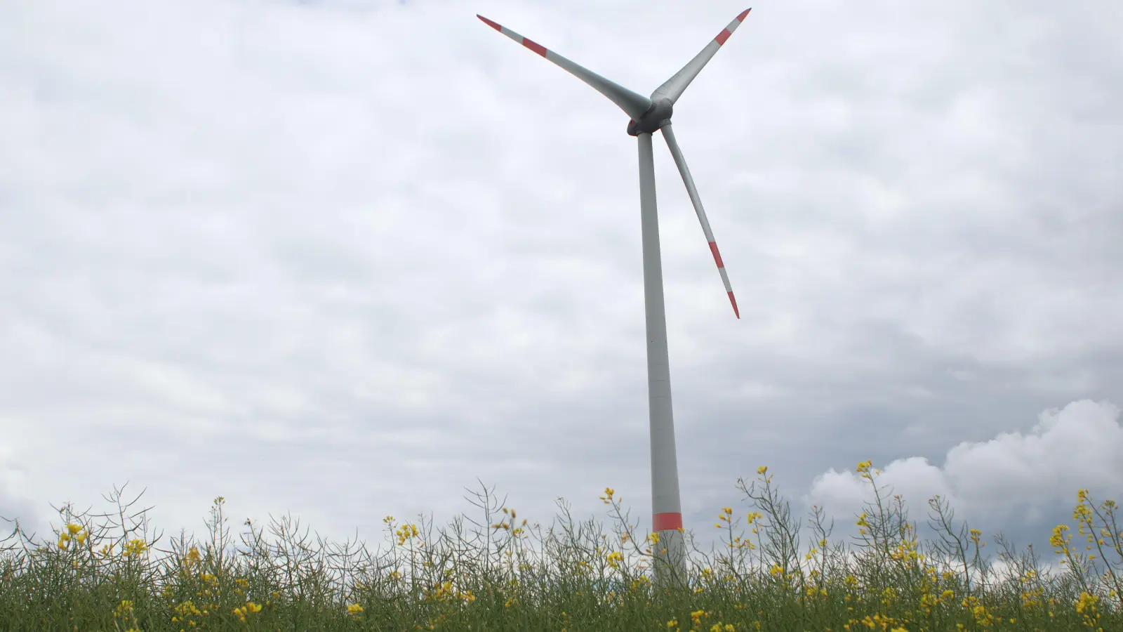 Vielerorts wehren sich Bürgerinnen und Bürger gegen Windräder. Obernzenn dagegen möchte mit Windkraftanlagen planen. (Symbolbild: Pauline Held)