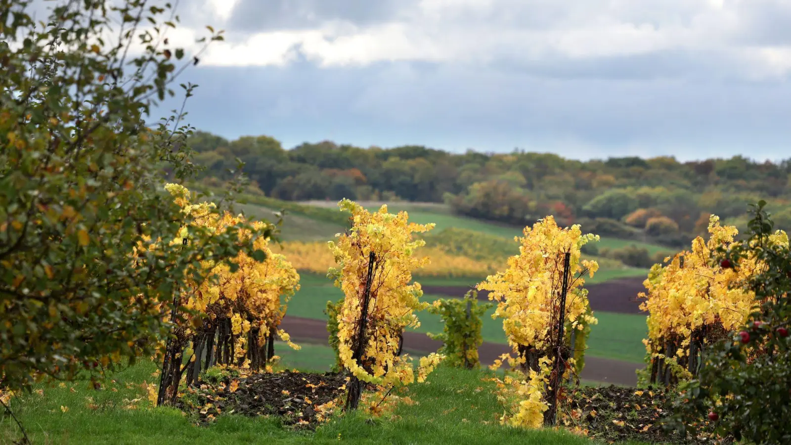 Wolken trüben den goldenen Herbst in Bayern in den kommenden Tagen. (Foto: Karl-Josef Hildenbrand/dpa)