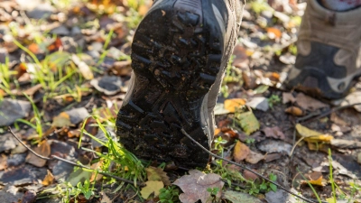 Shit Happens! Grobe Verschmutzungen können zunächst mit einem Taschentuch oder Blättern entfernt werden. (Foto: Christin Klose/dpa-tmn)