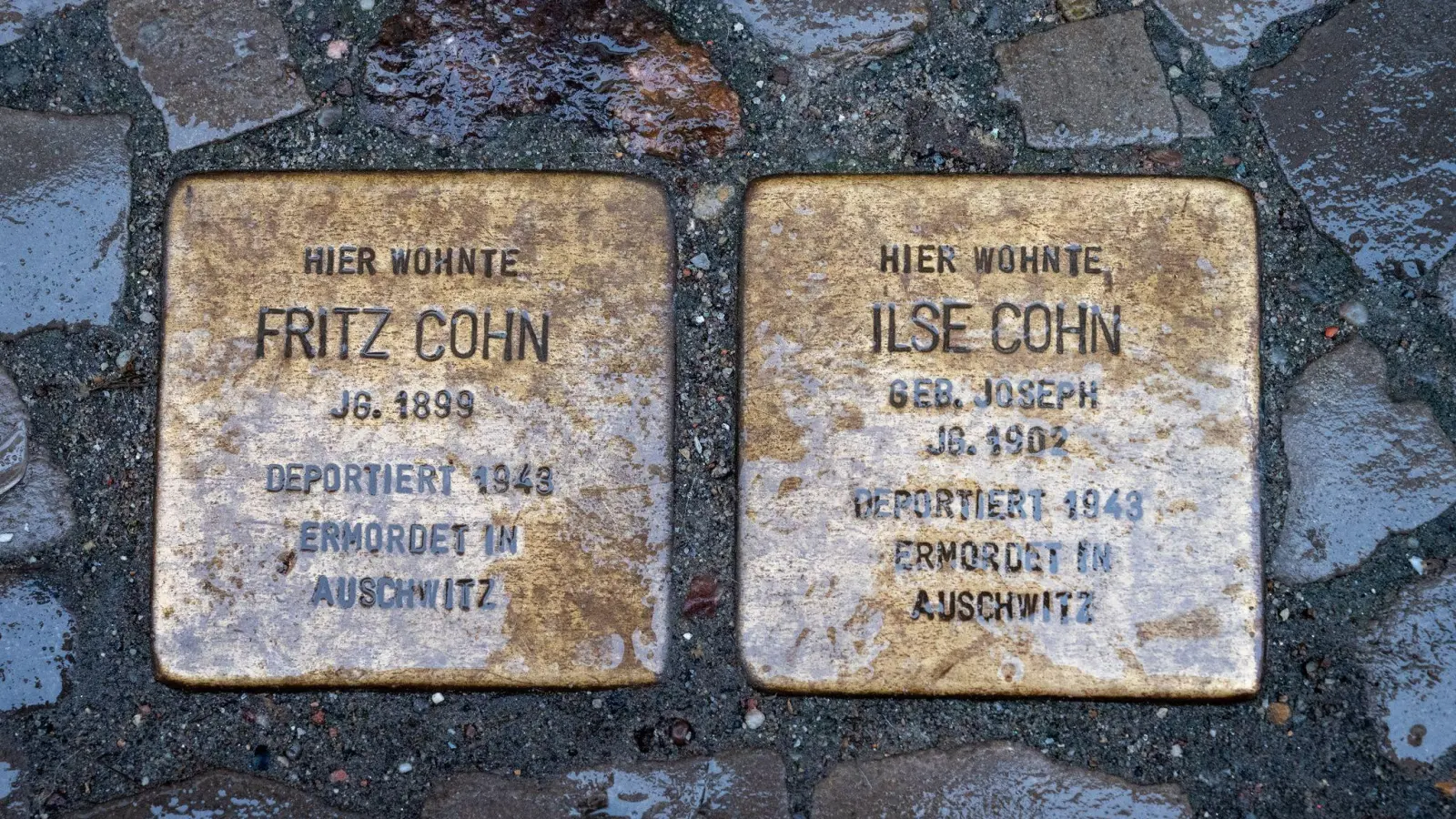 Stolpersteinemit den Namen Fritz Cohn und Ilse Cohn. Auf den Stolpersteinen sind auf einer Messingplatte Namen und Daten von Menschen eingraviert, die während der Zeit des Nationalsozialismus verfolgt und ermordet wurden, aus Deutschland fliehen mussten oder die Lager überlebten. (Foto: Stefan Sauer/dpa/Archivbild)