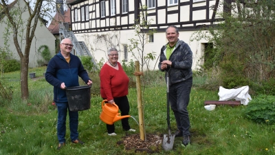 Feuchtwangens zweiter Bürgermeister Walter Soldner, Dekanin Uta Lehner und Pfarrer Wigbert Lehner (von rechts) brachten im Garten des Dekanatsgebäudes eine Feuchtwanger Birne in die Erde. (Foto: Erich Herrmann)