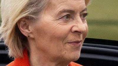 Das Flugzeug mit Ursula von der Leyen konnte am Ende sicher landen. (Archivbild) (Foto: Mindaugas Kulbis/AP/dpa)