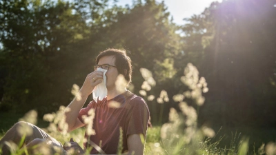 Wenn die Natur zur Qual wird: Pollen schränken viele Allergiker stark im Alltag ein. (Foto: Zacharie Scheurer/dpa-tmn)