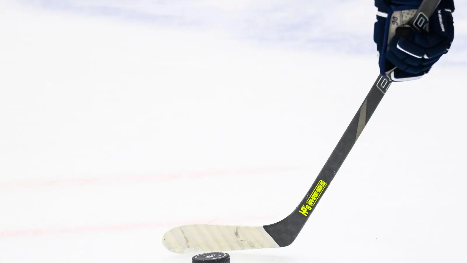 Der ERC Ingolstadt holt Nachwuchs-Stürmer Pul aus Weiden. (Foto: Tom Weller/dpa)