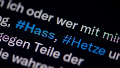 Den Beschuldigten wird unter anderem Volksverhetzung und das Beleidigen von Politikern vorgeworfen. (Illustration) (Foto: Fabian Sommer/dpa)
