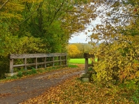 Herbstspaziergang - gesehen in den Neustädter Aischwiesen (Foto: Uschi Wendel)