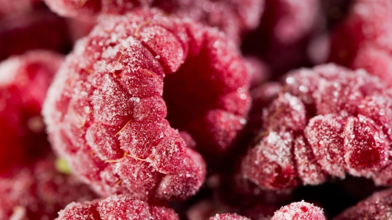 Um Keime abzutöten, müssen Tiefkühlbeeren vor dem Verzehr erhitzt werden. (Symbolbild: dpa-tmn/Franziska Gabbert)