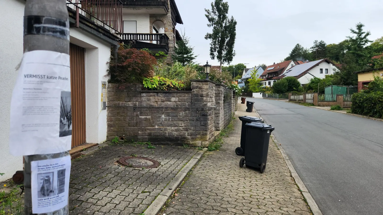 Vermisstenmeldungen in Wohngebieten in Neustadt wie diese links im Bild häufen sich derzeit. (Foto: Lisetta Jan)