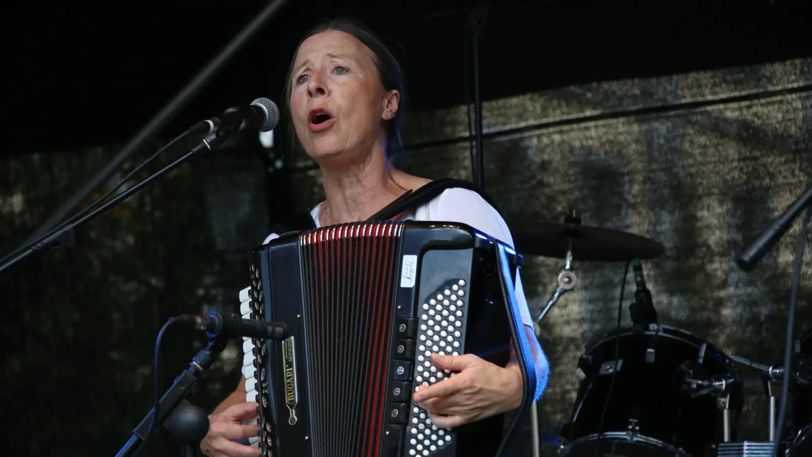 Mehr als nur fränkische Straßenmusikantin: Steffi Zachmeier beim Ansbacher Bardentreffen. (Foto: Jens Plackner)