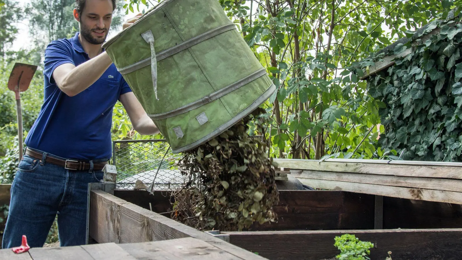 Pflanzen, die von hartnäckigen Krankheiten oder Schädlingen befallen sind, gehören nicht auf den Kompost. (Foto: Christin Klose/dpa-tmn)