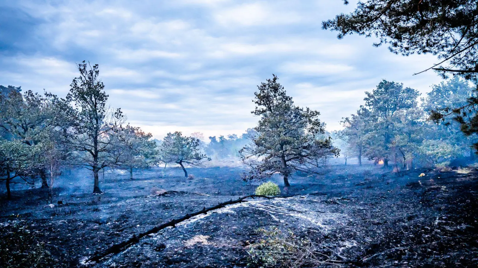 Die Ursache für den Großbrand ist noch unklar. (Foto: Roland Heitink/Persbureau Heitink/dpa)