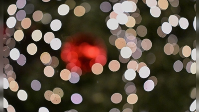 Für eine Geschichte wie aus einem Weihnachtsfilm sorgte ein Weihnachtsbaum-Dieb im Unterallgäu. (Symbolbild) (Foto: Jennifer Brückner/dpa)