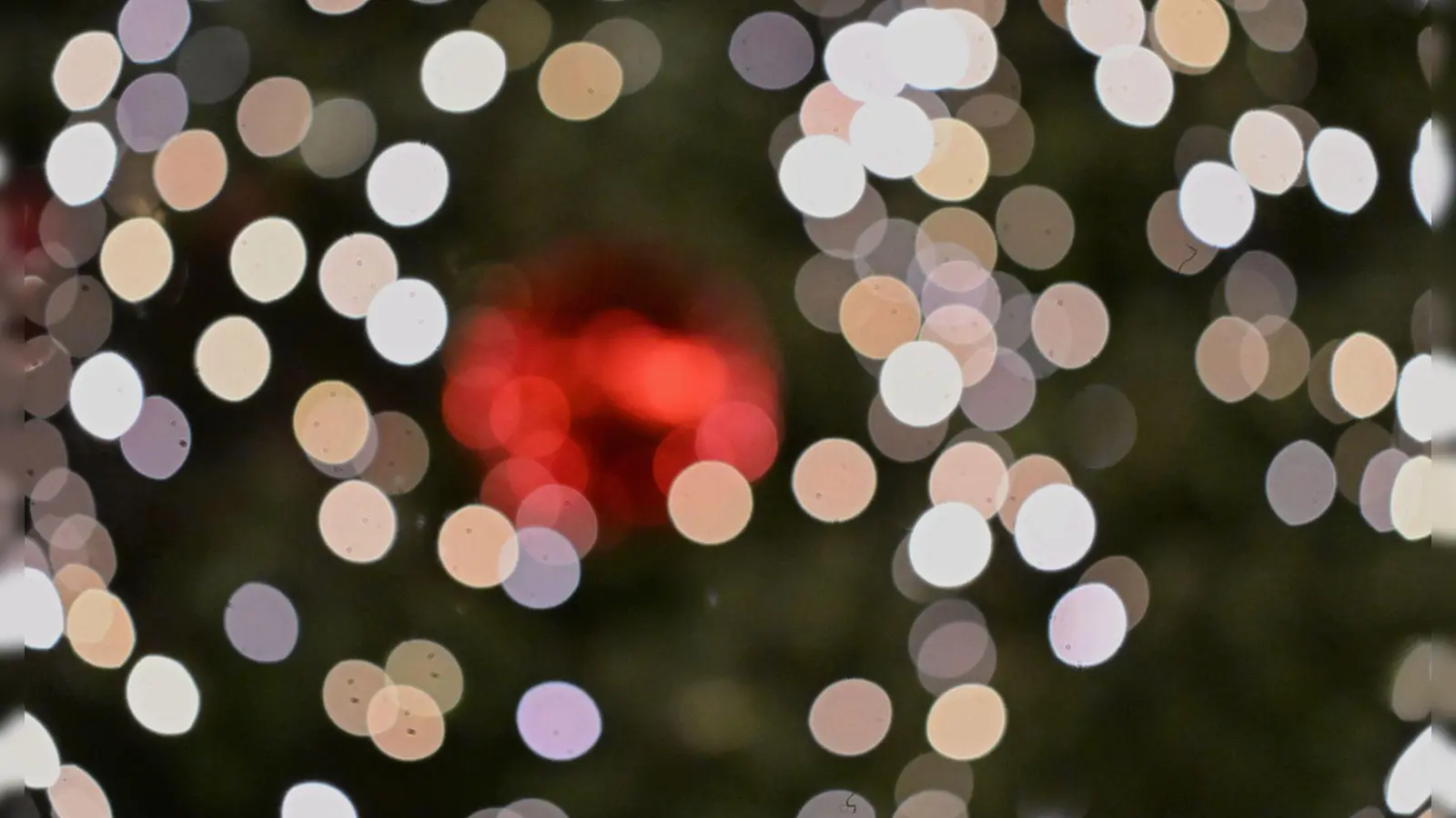 Für eine Geschichte wie aus einem Weihnachtsfilm sorgte ein Weihnachtsbaum-Dieb im Unterallgäu. (Symbolbild) (Foto: Jennifer Brückner/dpa)