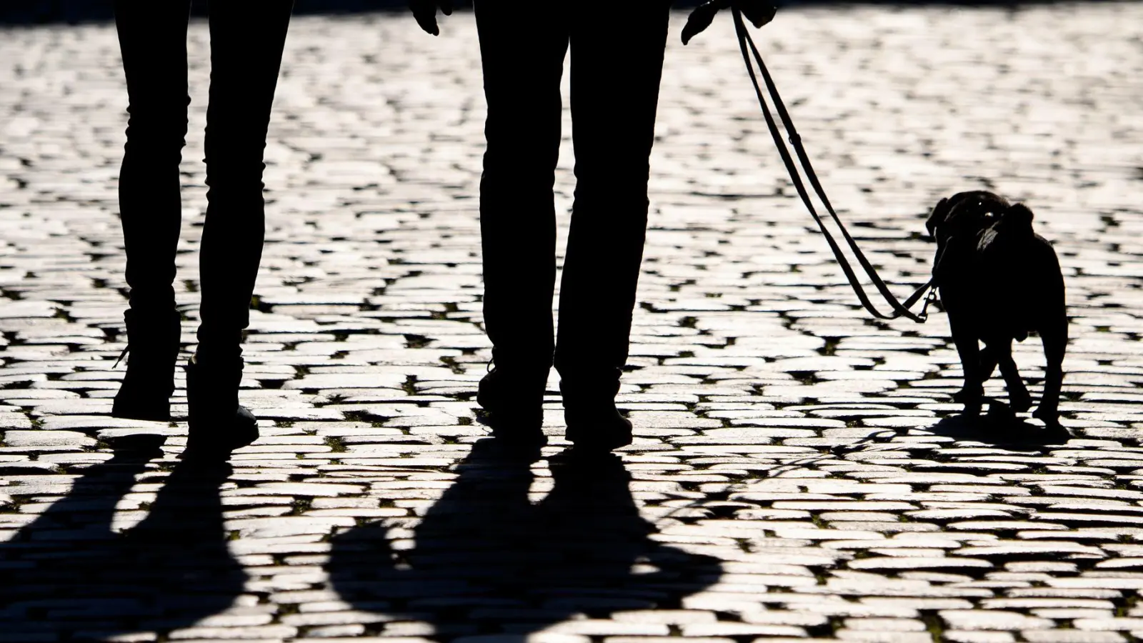 Unbekannte griffen eine Frau bei einem Spaziergang an und stahlen ihren Hund. (Symbolbild) (Foto: Robert Michael/dpa-Zentralbild/ZB)