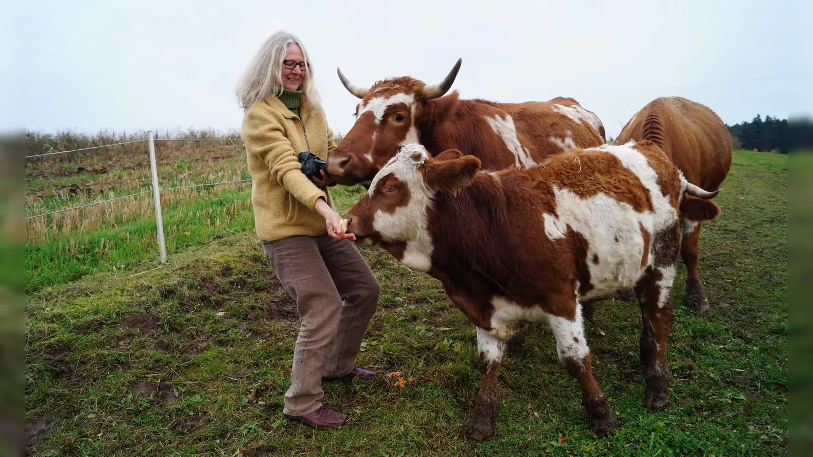 Ursula Pfällin-Nefian mit ihren Triesdorfer Tigern Marie und Ostiger. (Foto: Hermann Nefian)