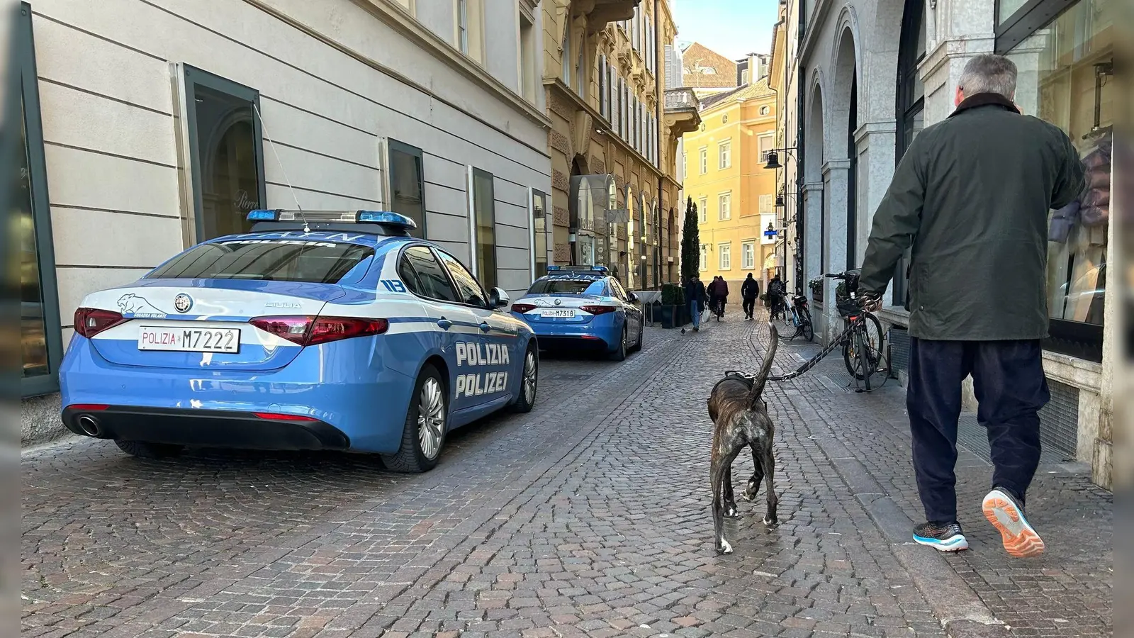 Südtirol will künftig von Hundehaltern eine Art Kurtaxe für ihre Vierbeiner verlangen. (Symbolbild) (Foto: Christoph Sator/dpa)