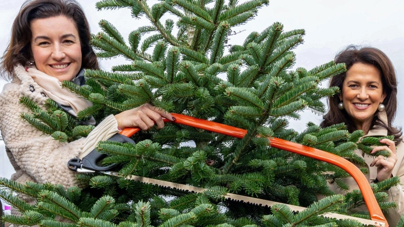 80 Prozent der vier Millionen in Bayern verkauften Christbäume werden im Freistaat angebaut. Die CSU-Politikerinnen Dorothee Bär und Michaela Kaniber (rechts) eröffneten die Saison.  (Foto: Pia Bayer/dpa)