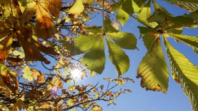 In den nächsten Tagen kann in Bayern noch einmal die Sonne genossen werden. (Symbolbild) (Foto: Thomas Warnack/dpa)