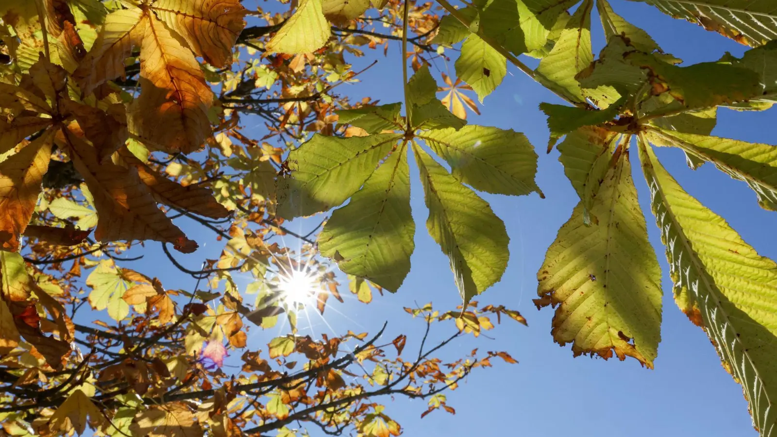 In den nächsten Tagen kann in Bayern noch einmal die Sonne genossen werden. (Symbolbild) (Foto: Thomas Warnack/dpa)